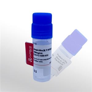 CellWorld   氨苄青霉素（Ampicillin）  C1260-633