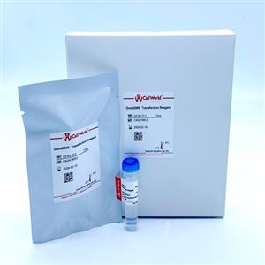 CellWorld  Good2000   C0160-Z13