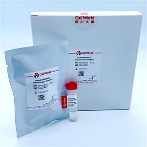 C0170-ZX03CellWorld   Good RNAiMAX