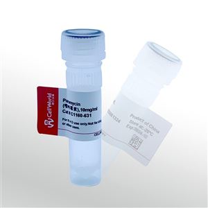 CellWorld   嘌呤霉素（Puromycin）