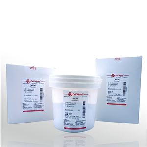 C0556-836 10X1L/袋CellWorld MEM