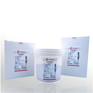C1462-874D 10X1LCellWorld MEM a