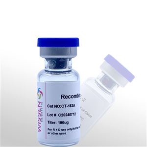Wissen 重组人白介素-2 IL-2  CT-182A  100ug